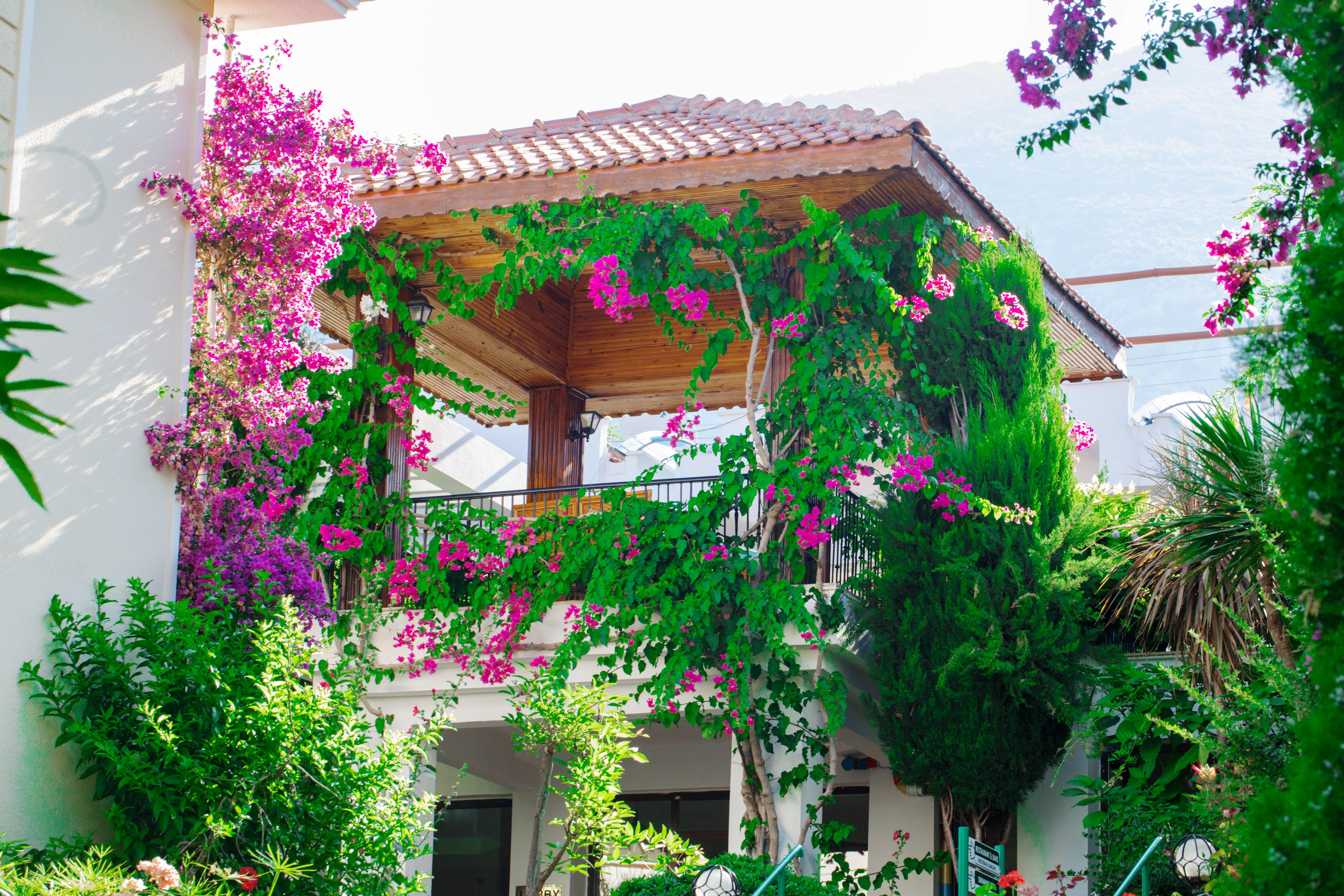Yel Holiday Resort Ölüdeniz Buitenkant foto